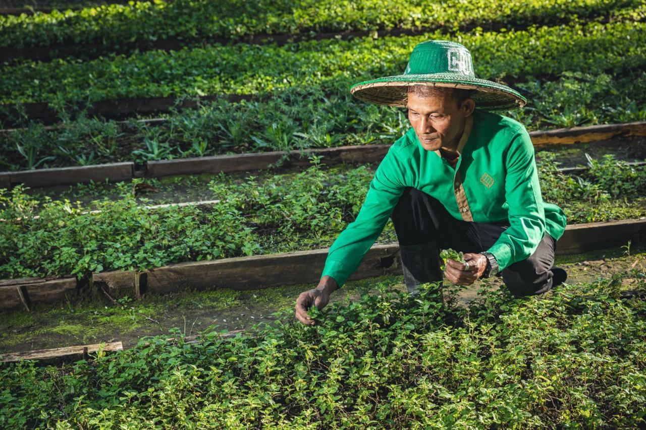 艾斯卡拉度假村 维桑海滩 外观 照片